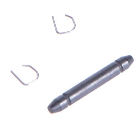 RECEIVER PIN, P365, SPRINGS